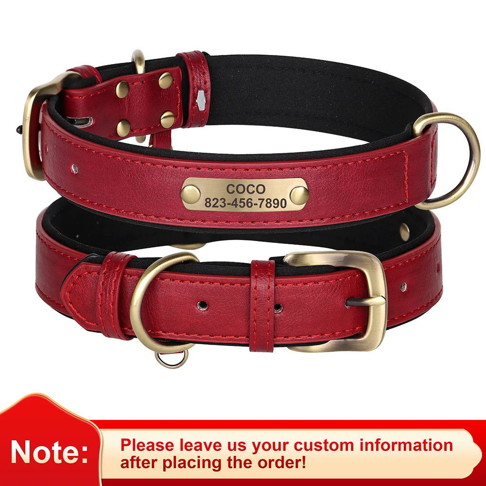 Engraved Collar