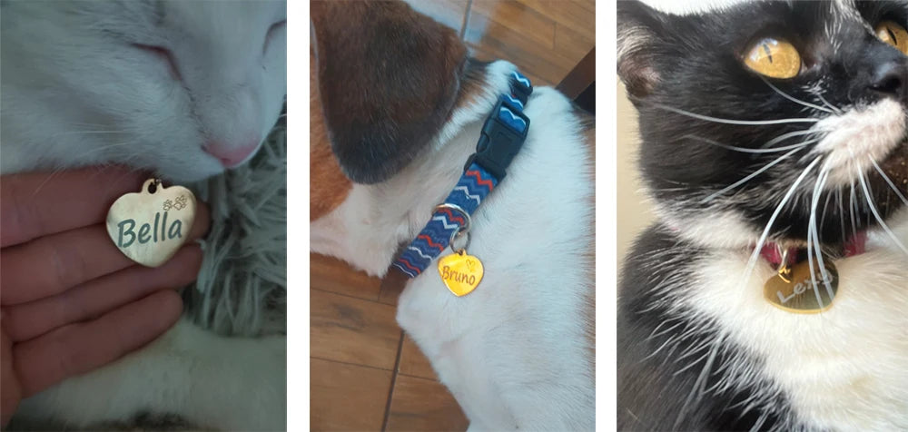 Dog ID Tag