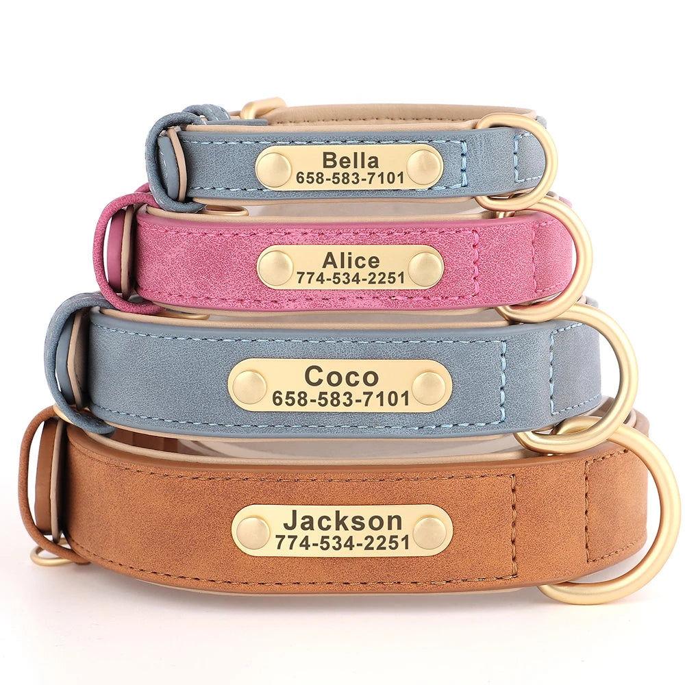 Engraved Collar