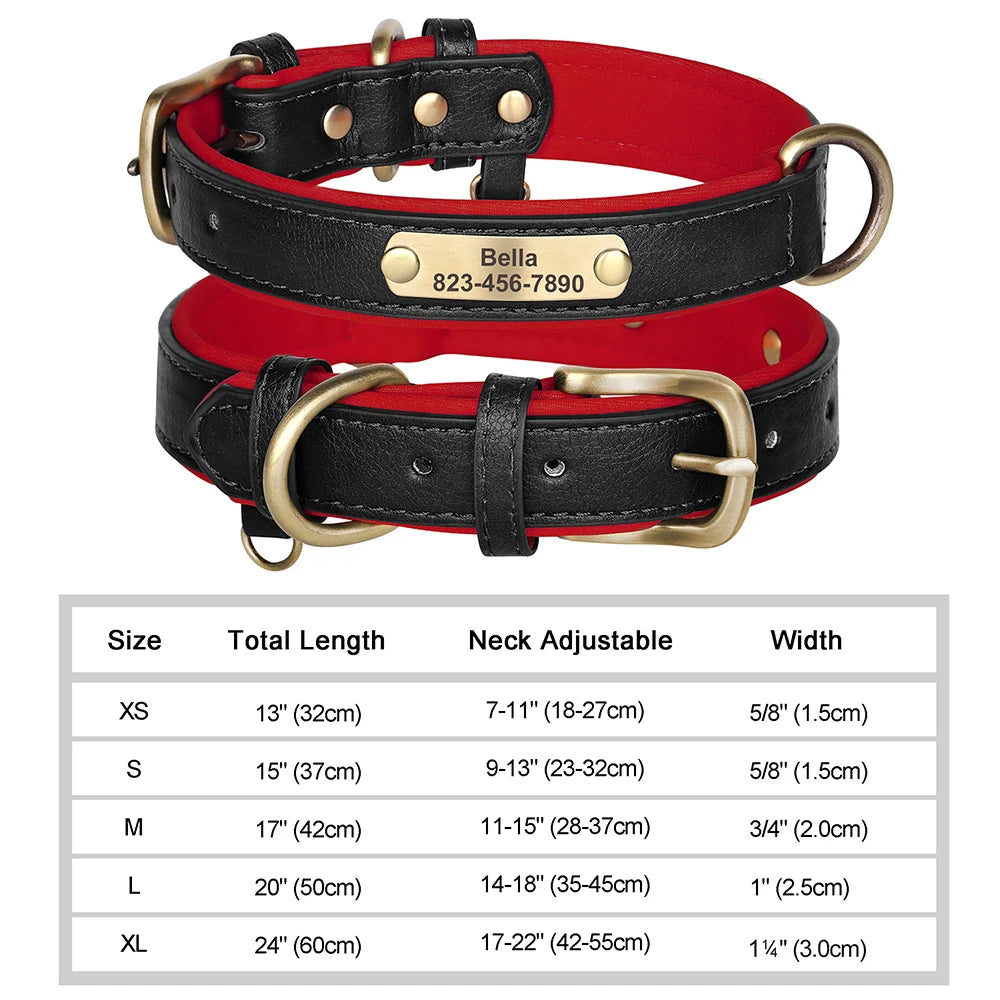 Engraved Collar