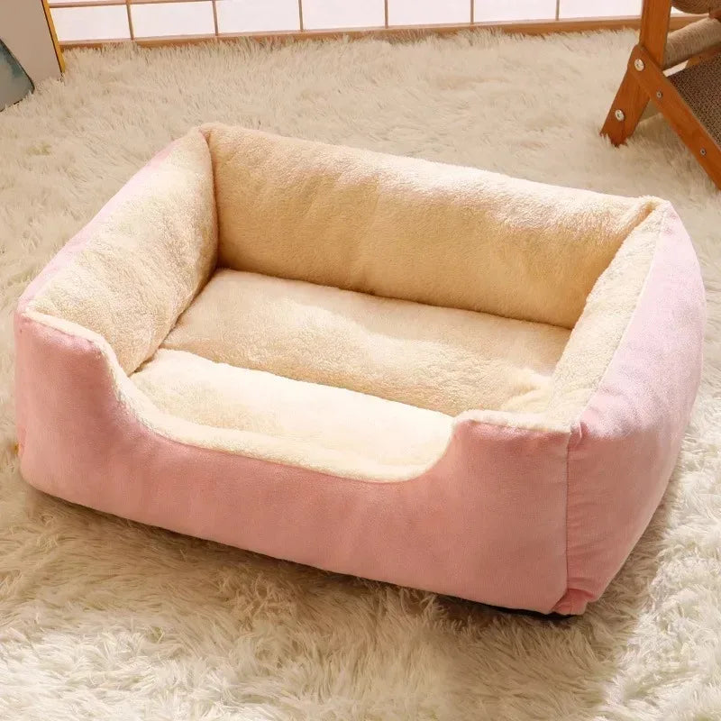 Cat Cushion