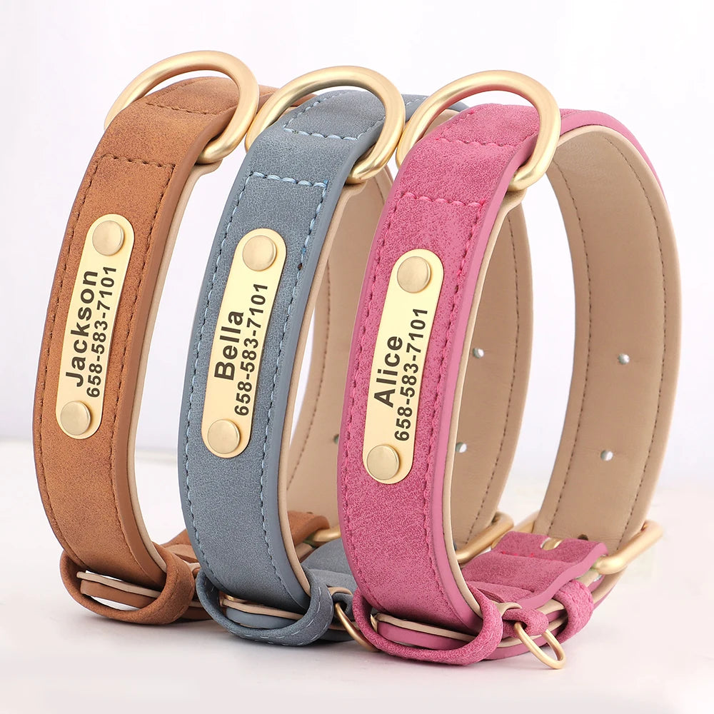 Engraved Collar