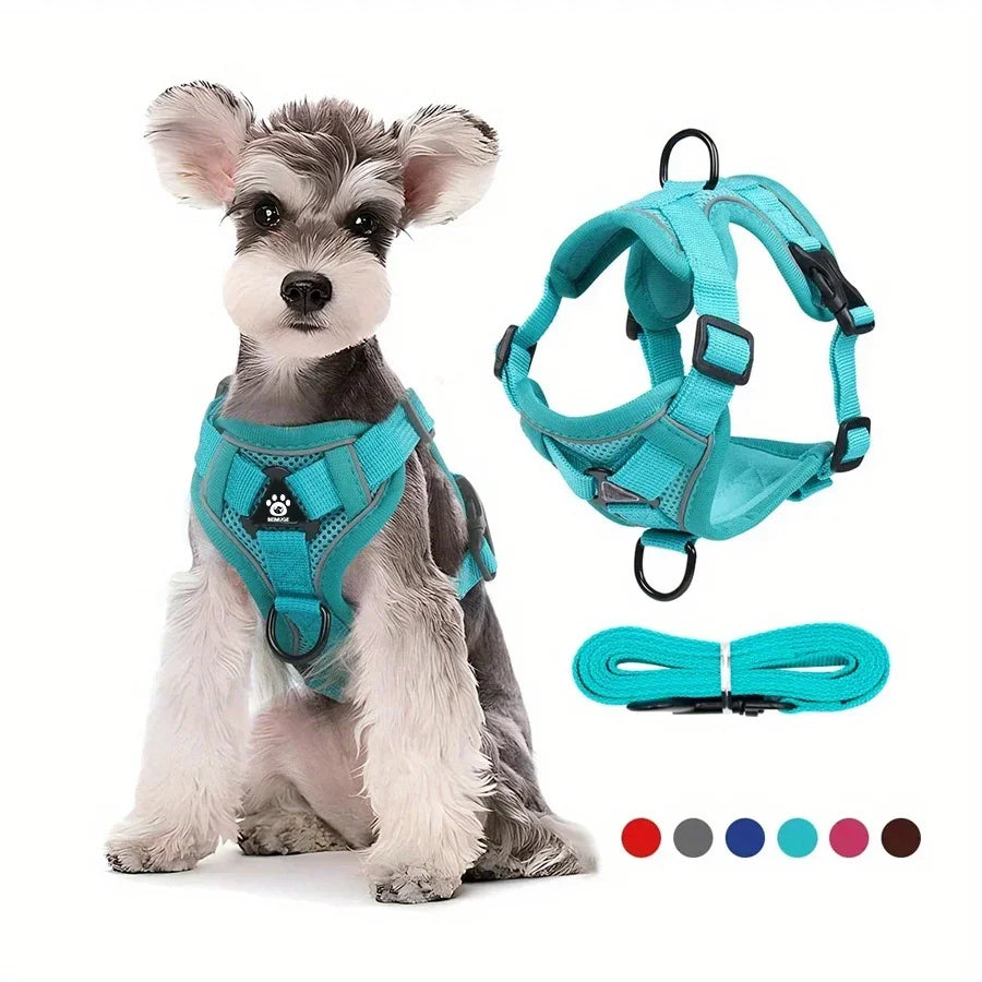 Dog Harness