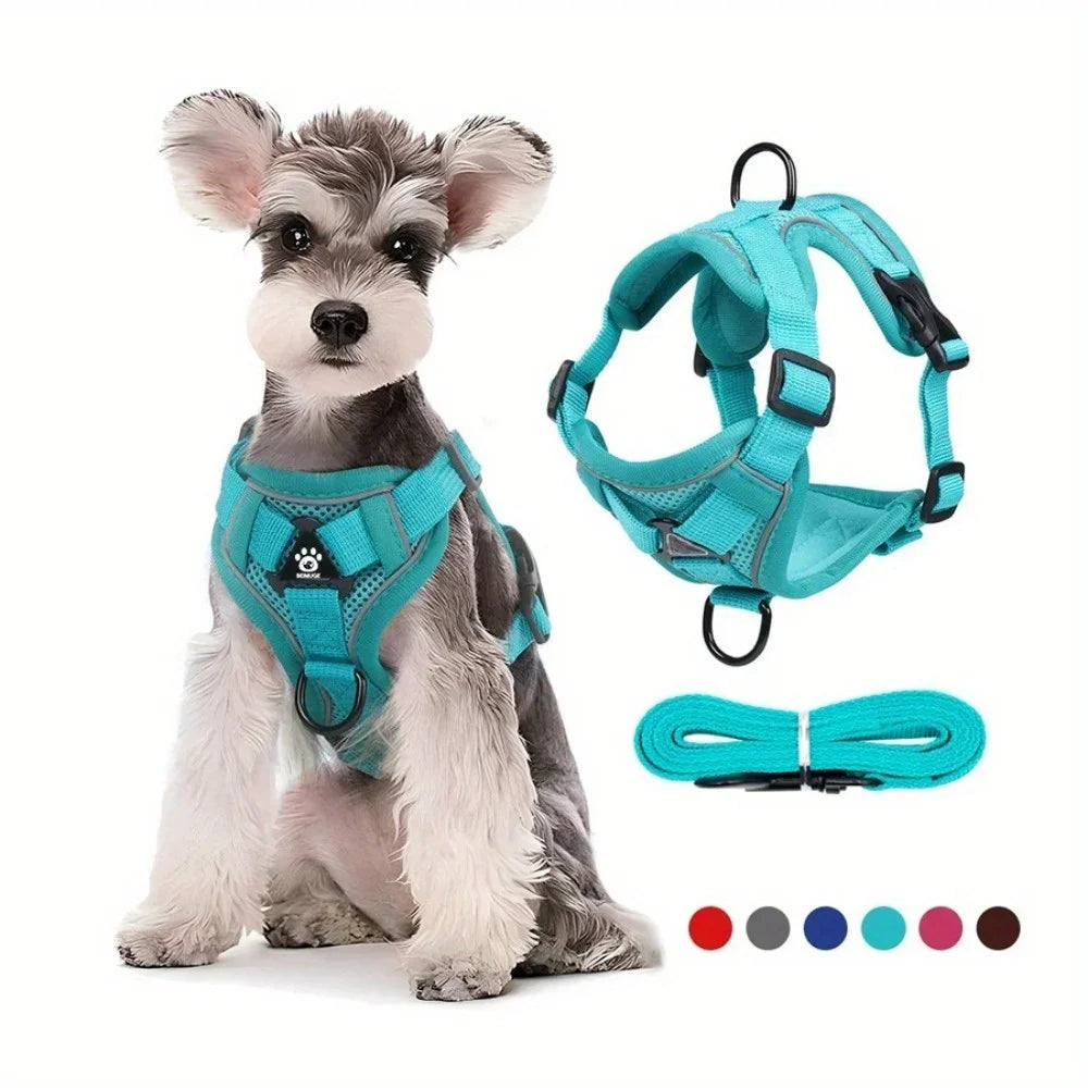 Dog Harness