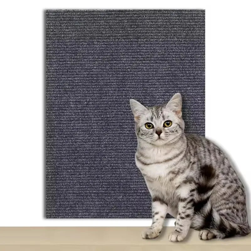 Cat Scratcher