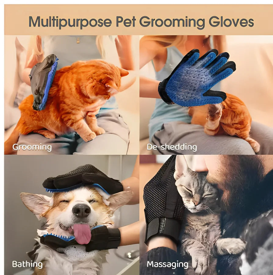 Grooming Glove