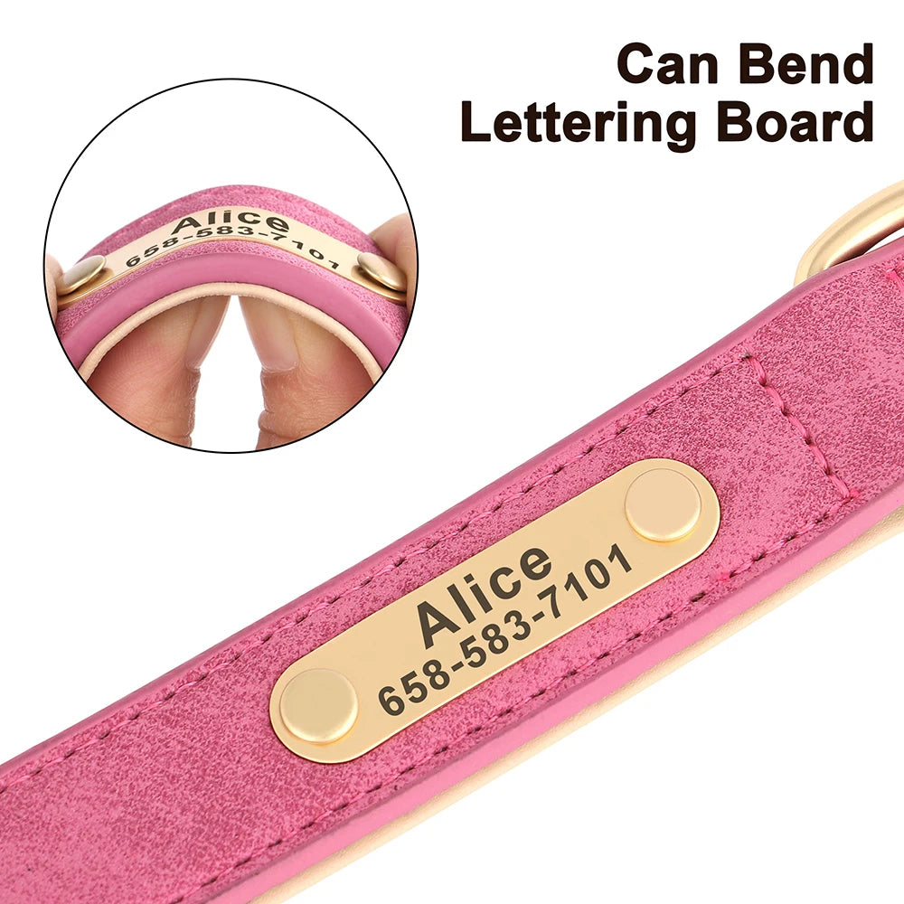 Engraved Collar