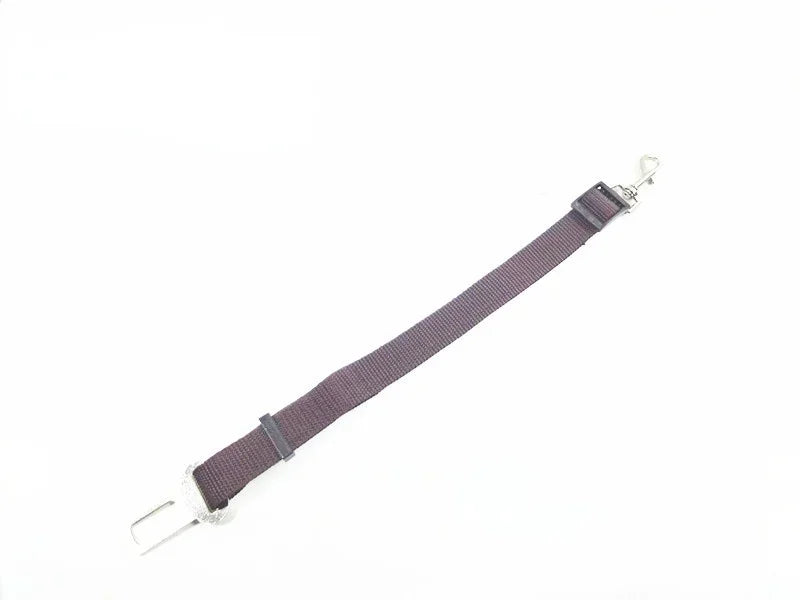Car Seat Belt