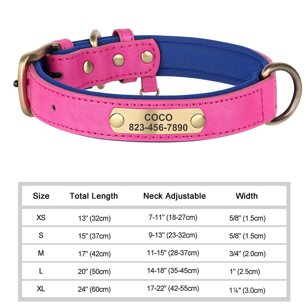 Engraved Collar