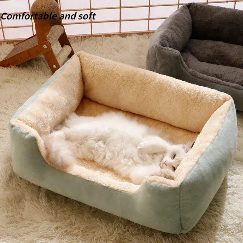 Cat Cushion