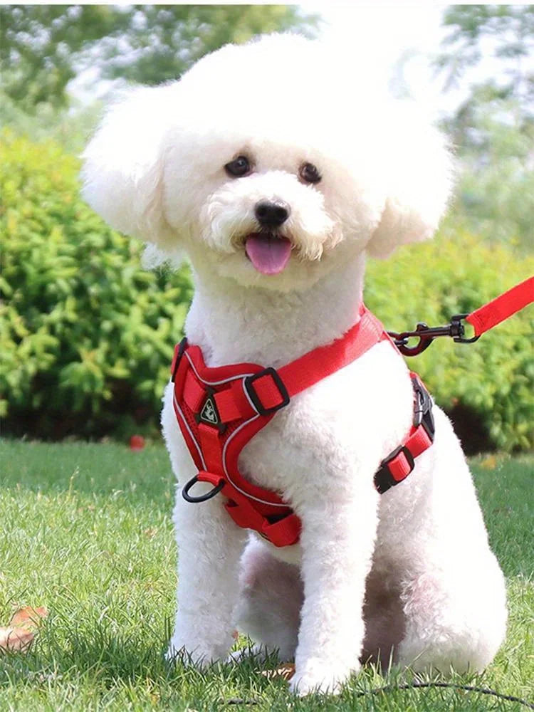 Dog Harness