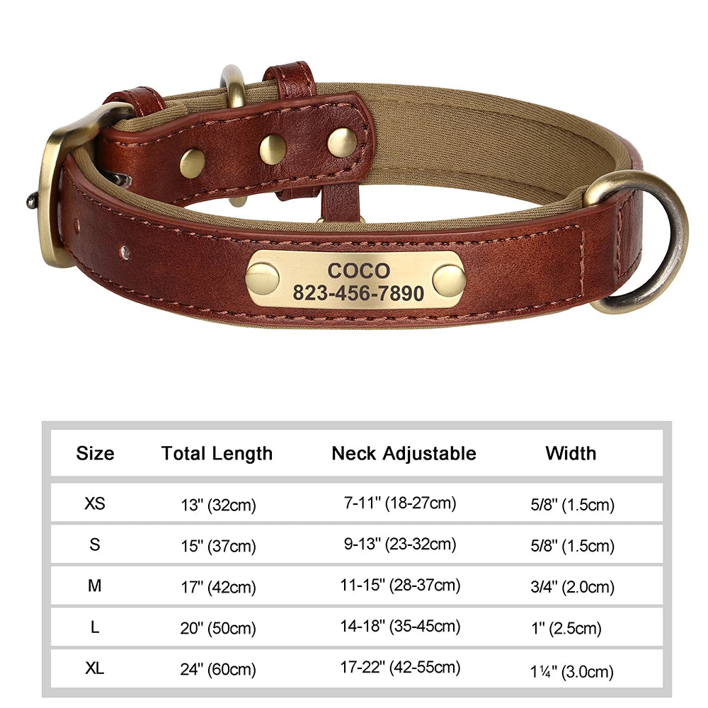 Engraved Collar