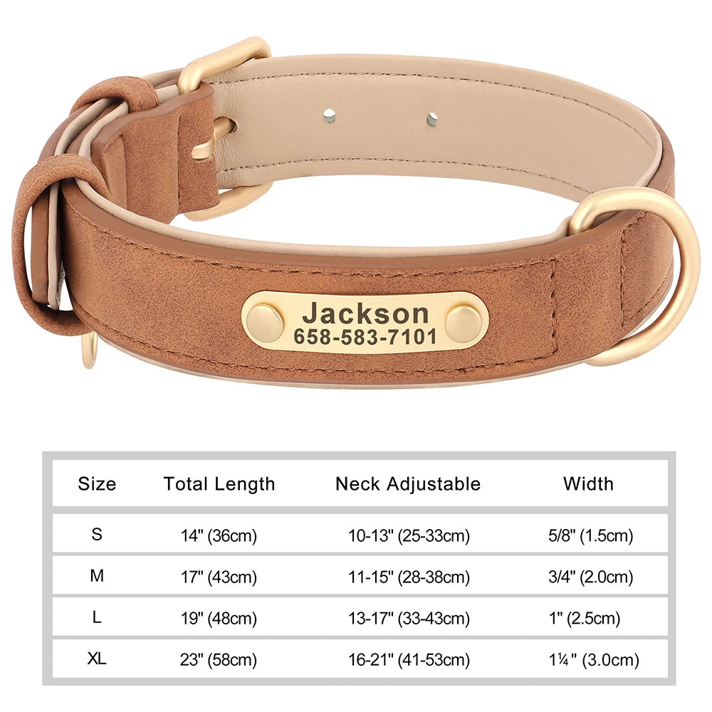 Engraved Collar
