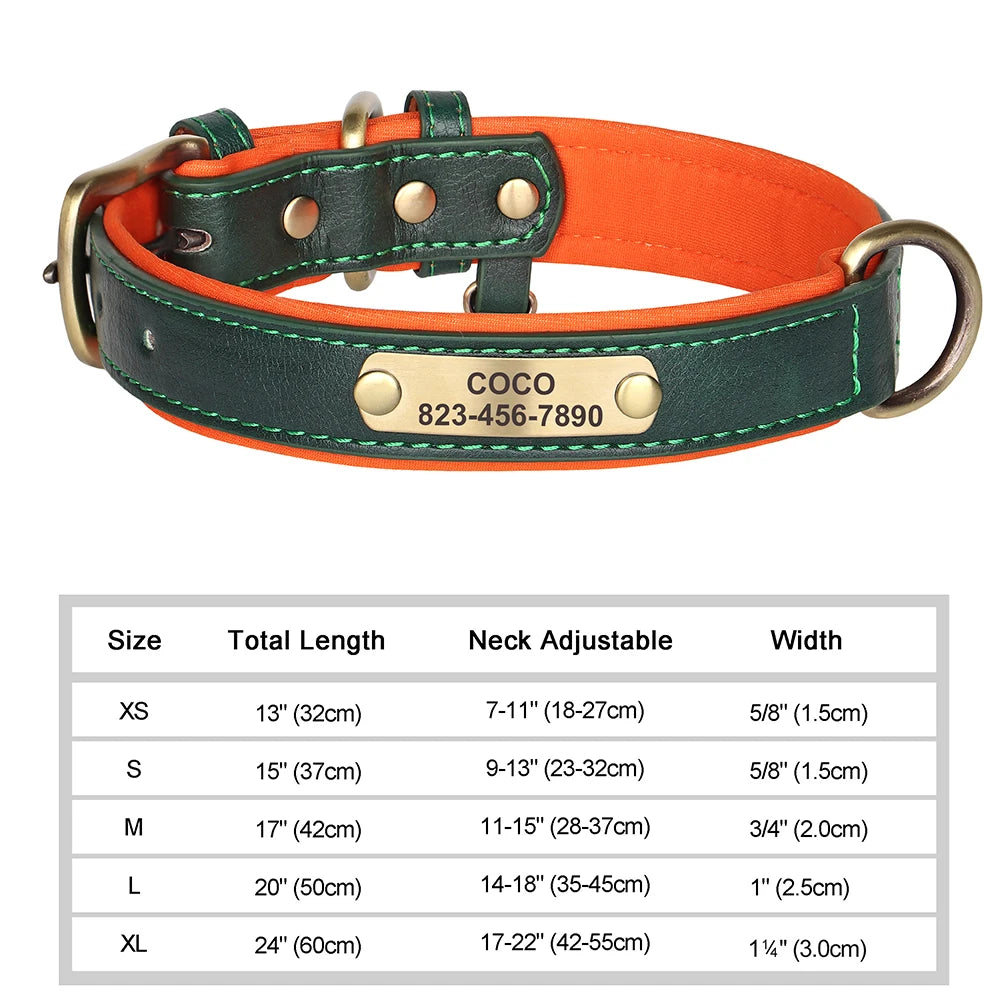Engraved Collar