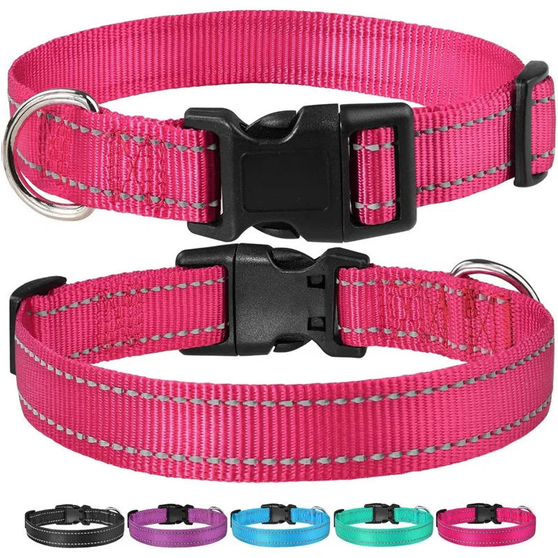 Dog Collar