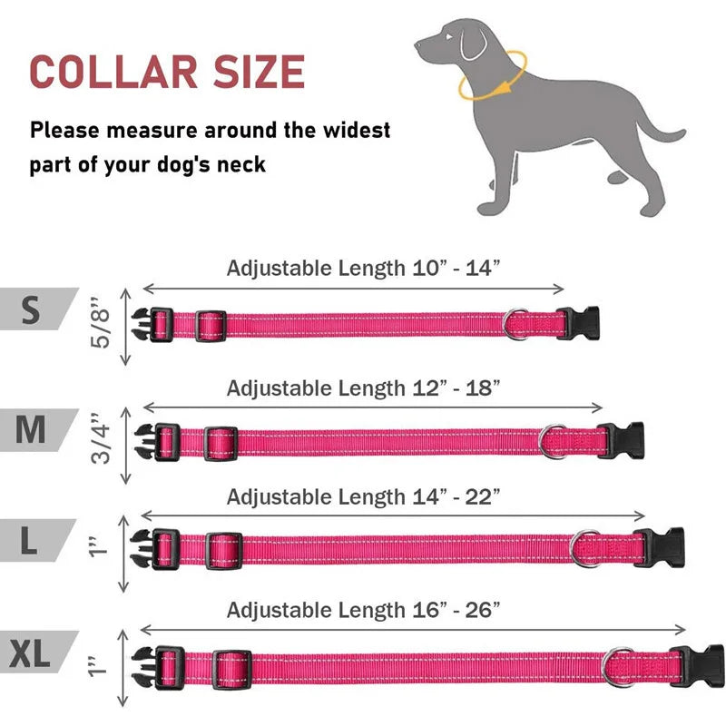 Dog Collar