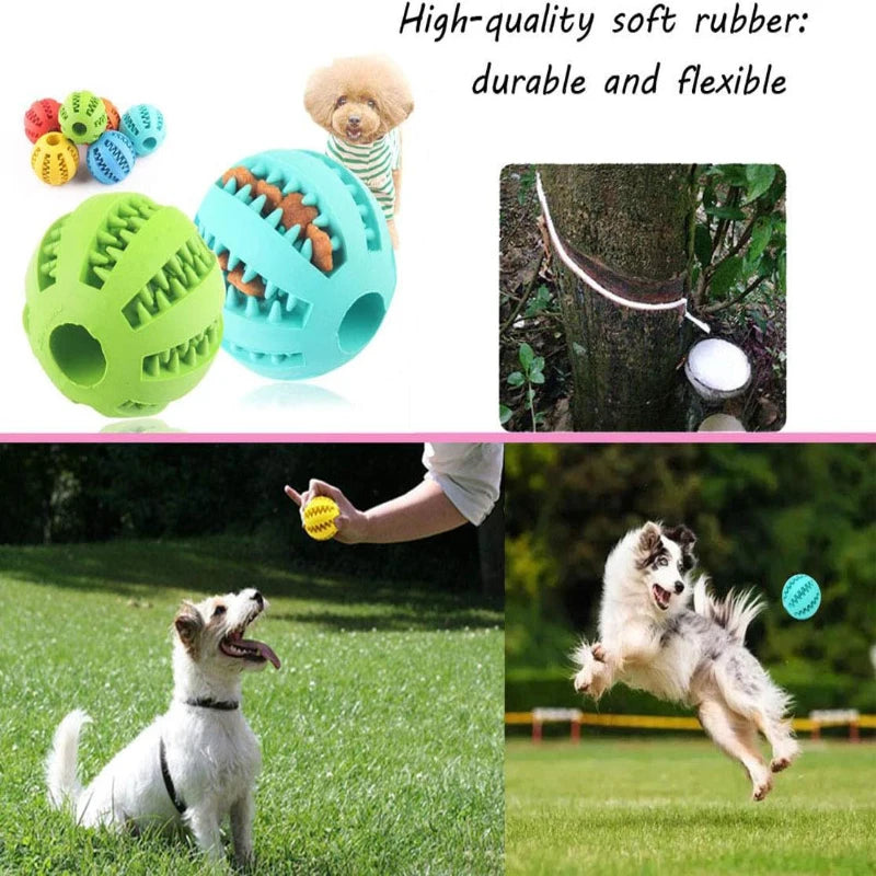 Chew Ball