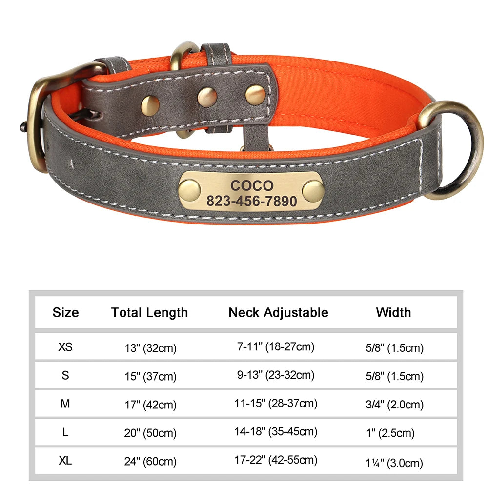 Engraved Collar