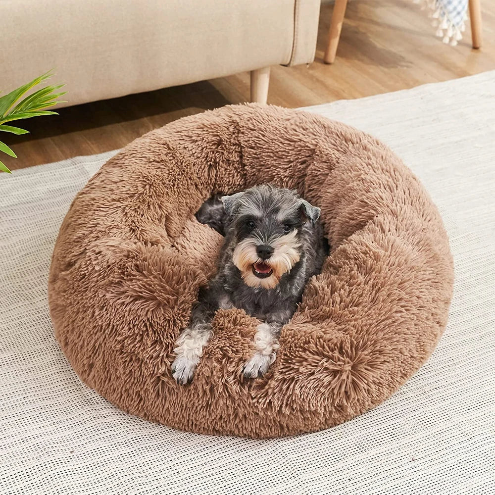 Pet Bed