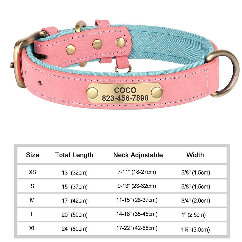 Engraved Collar