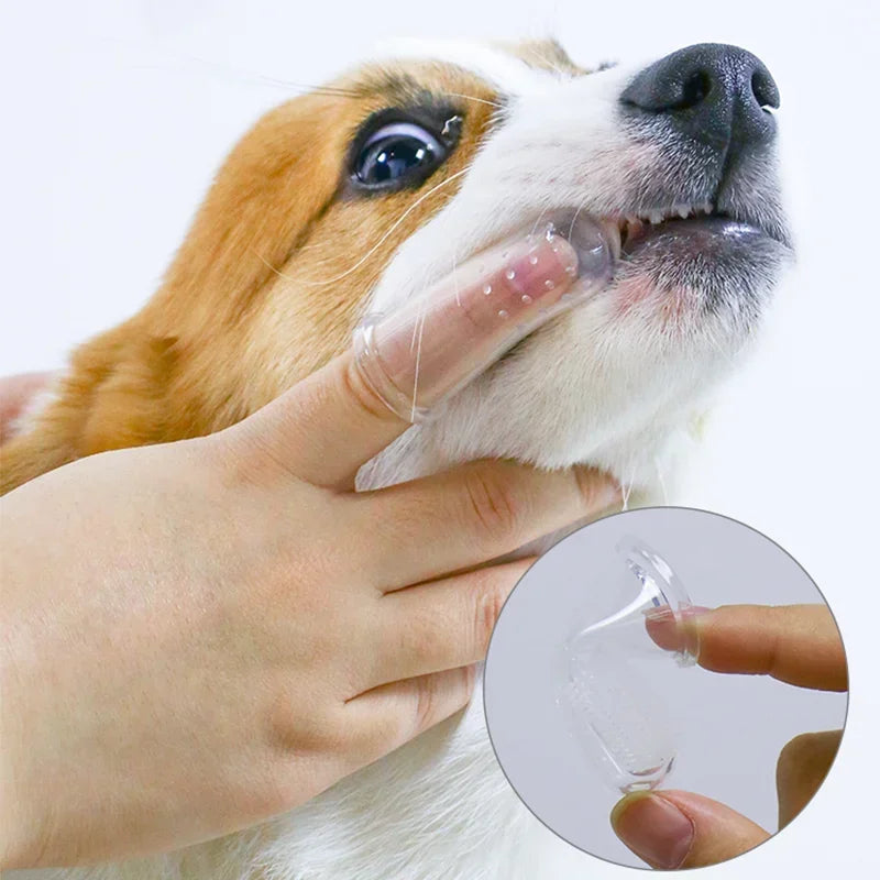 Pet Toothbrush
