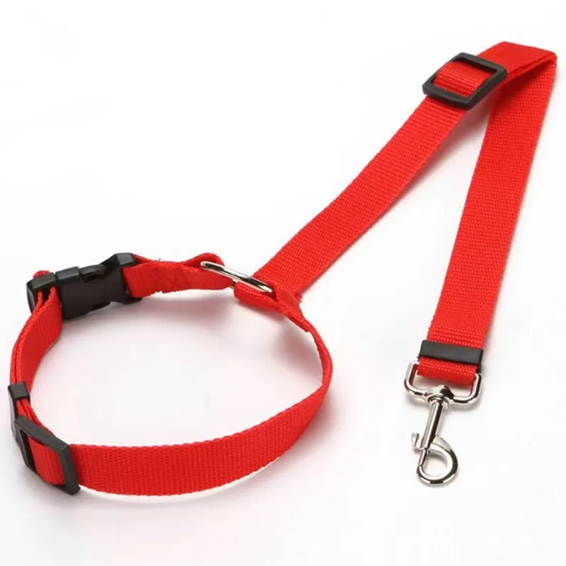 Car Harness