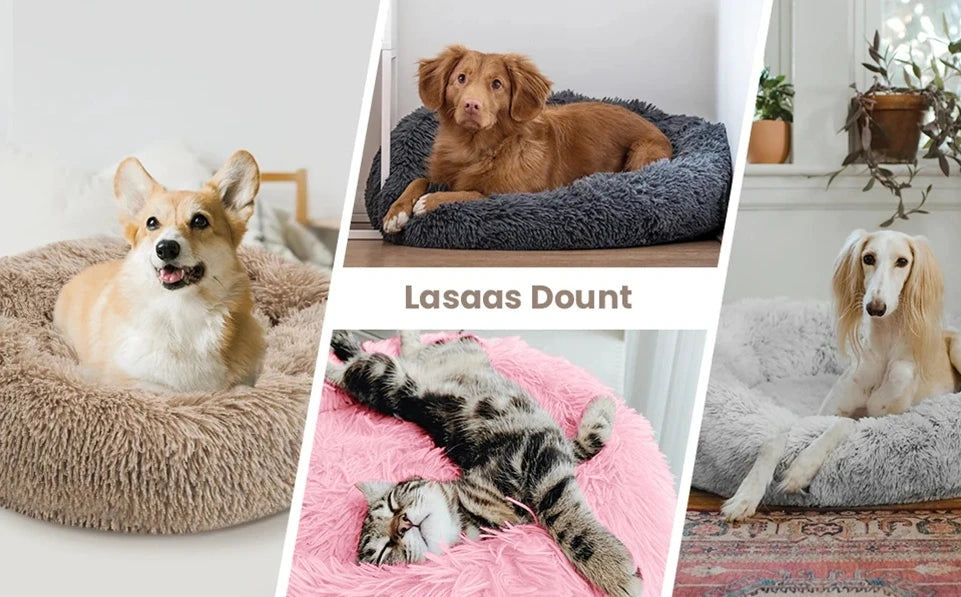 Pet Bed