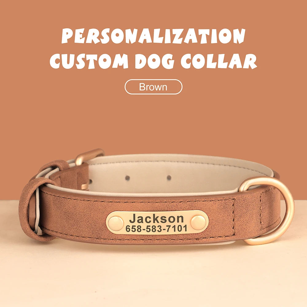 Engraved Collar
