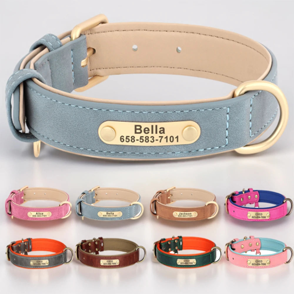 Engraved Collar
