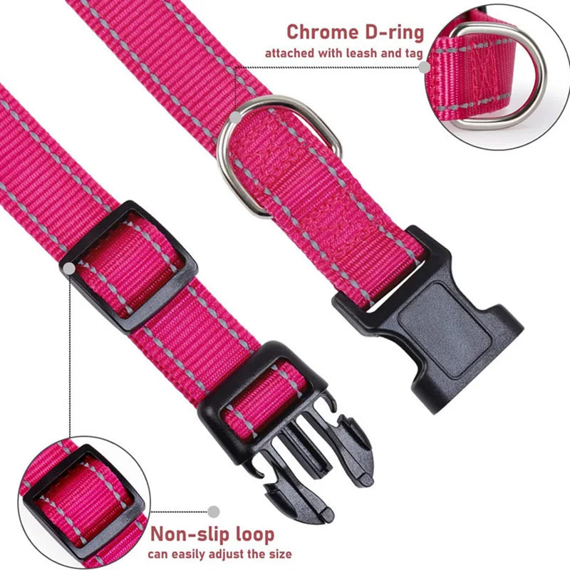 Dog Collar