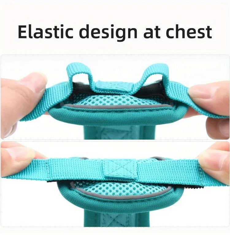 Dog Harness