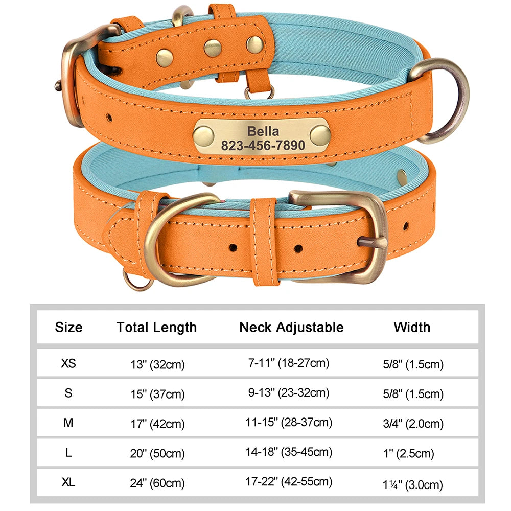 Engraved Collar