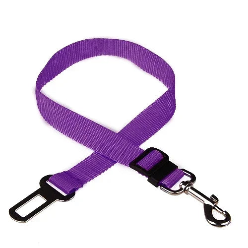Car Seat Belt