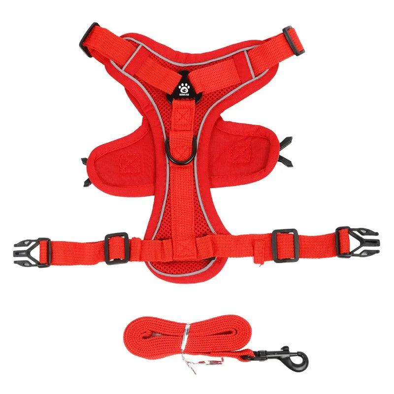 Dog Harness