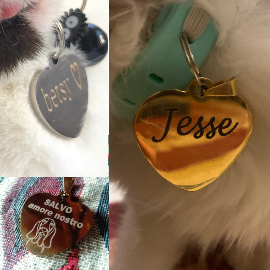 Dog ID Tag
