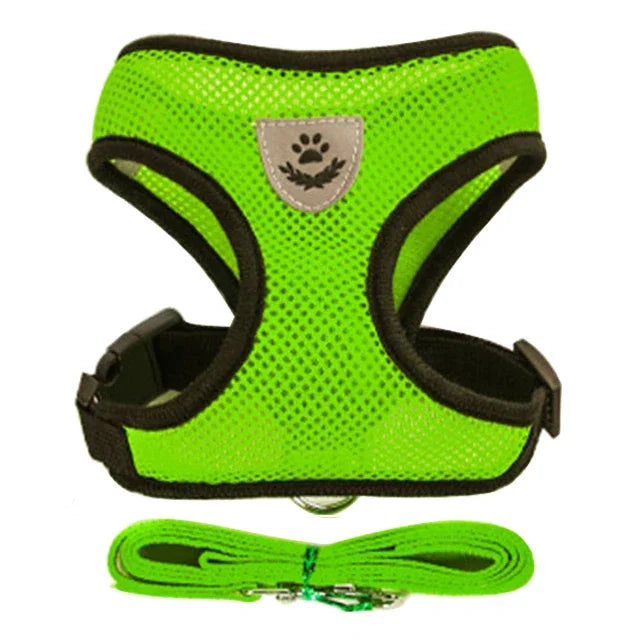 Cat Harness