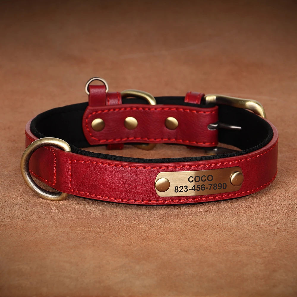 Engraved Collar