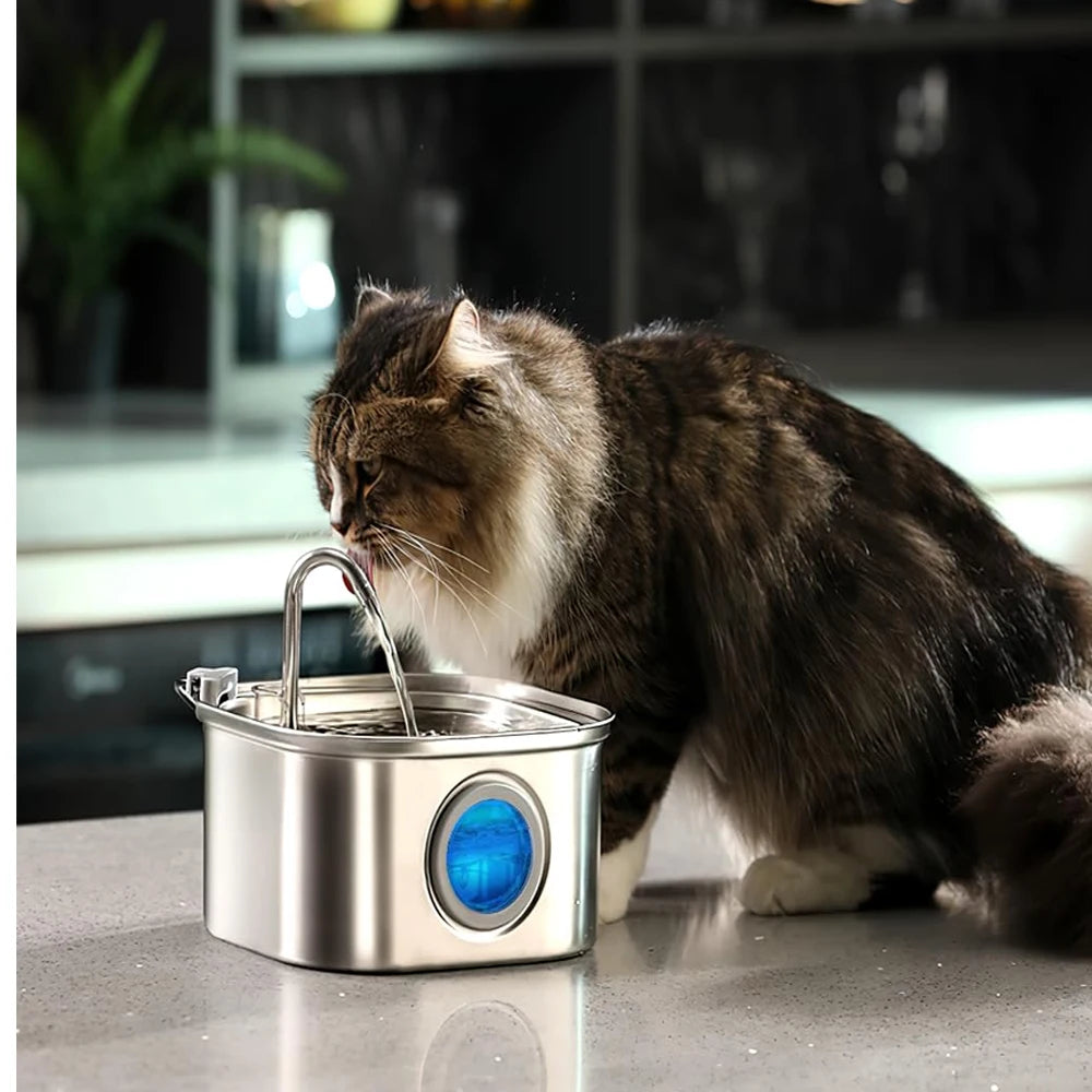 Cat Fountain