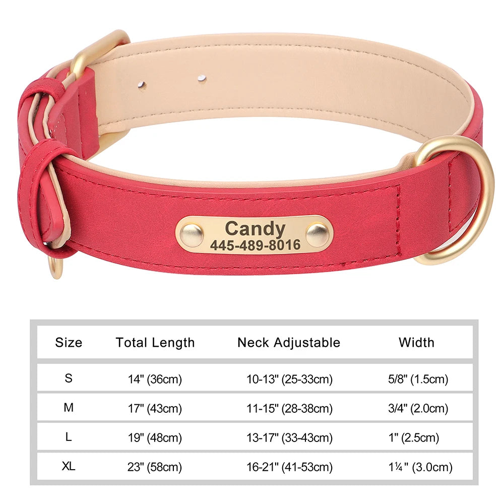 Engraved Collar