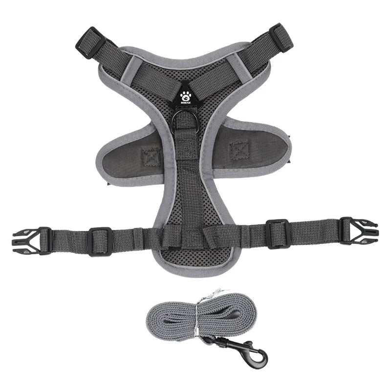 Dog Harness