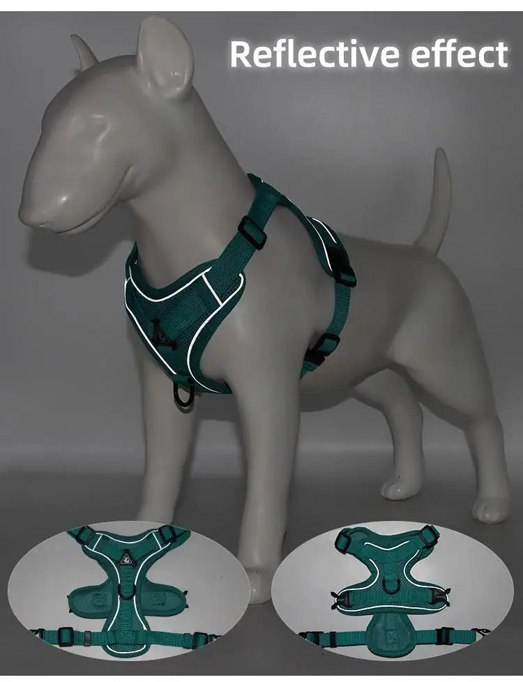 Dog Harness