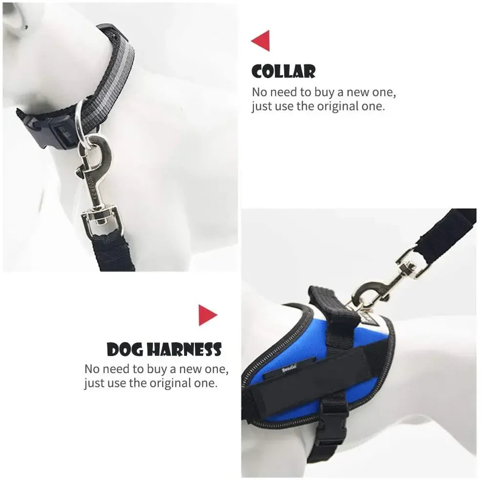 Car Seat Belt