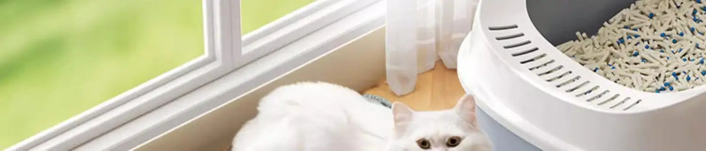 Litter Mat