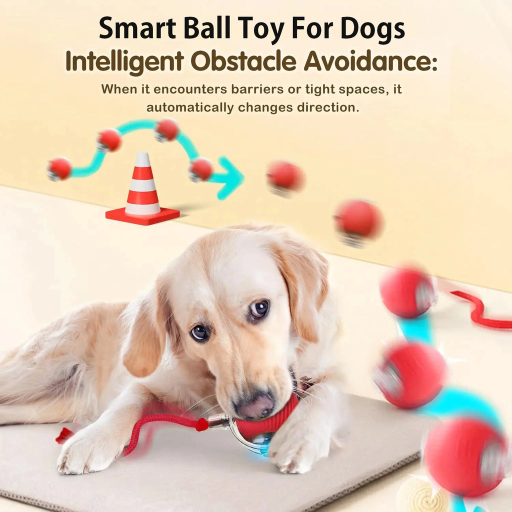 Robot Ball