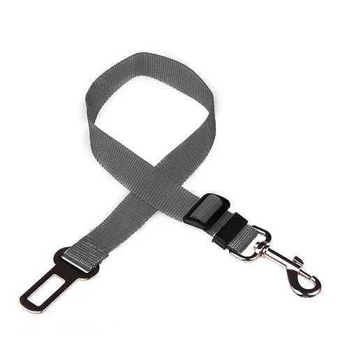 Car Seat Belt