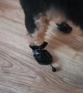 Dog Boots