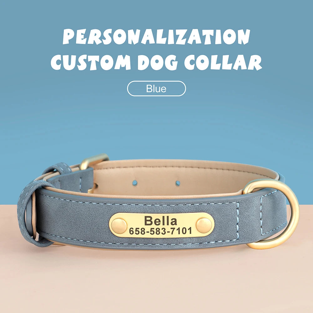 Engraved Collar