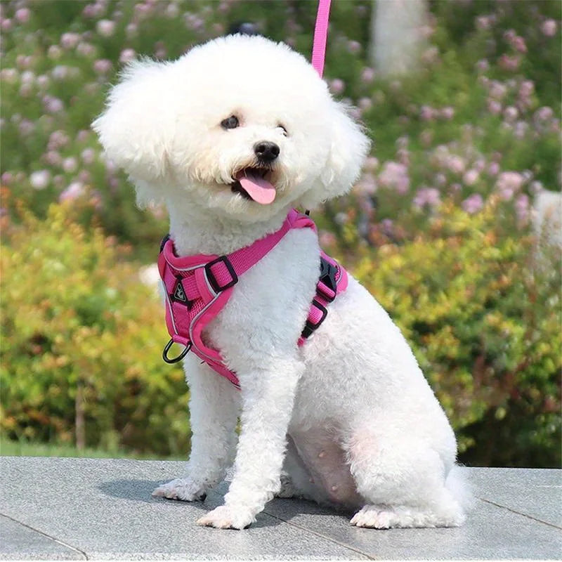 Dog Harness