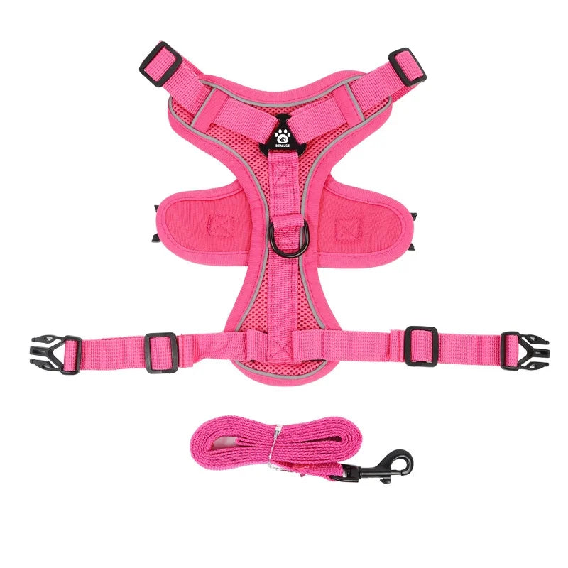 Dog Harness
