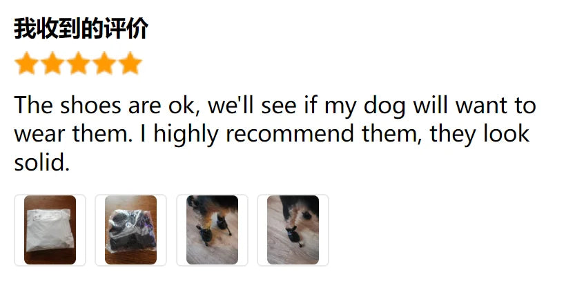 Dog Boots